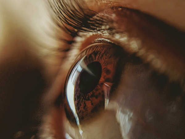 Warum Ihre Augen Licht brauchen